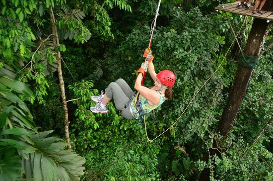 Tarzan Swing